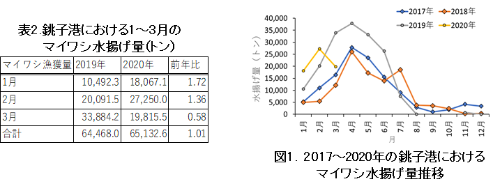 量 イワシ 漁獲